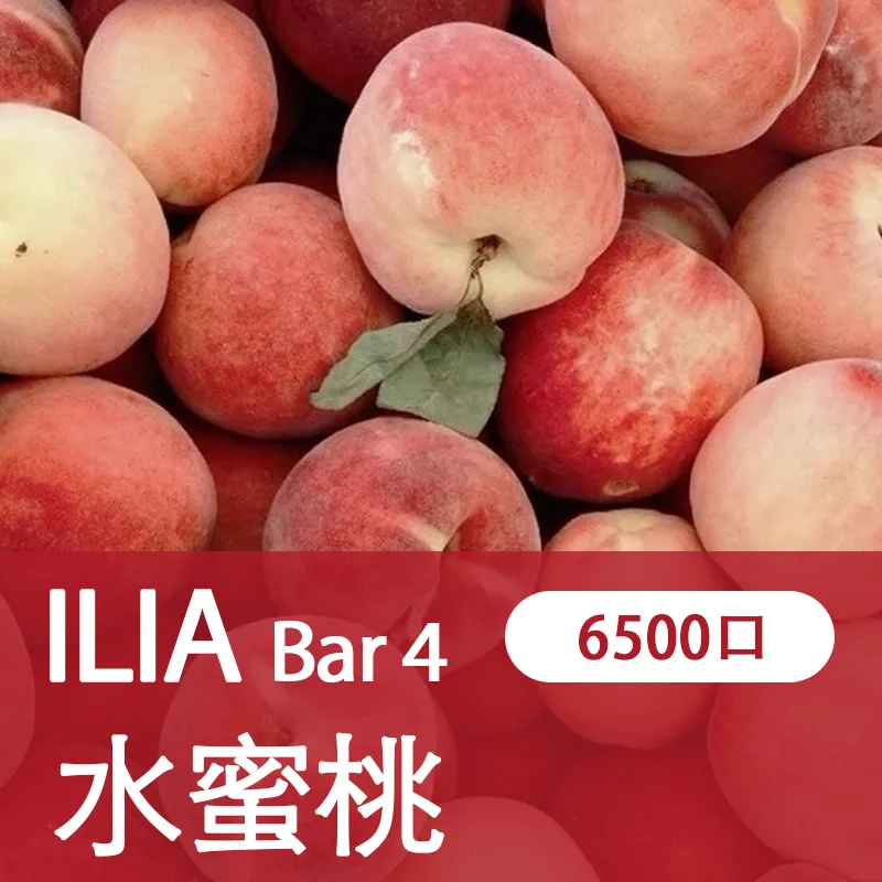 【ILIA 哩亞四代】 ILIA BAR4拋棄式電子煙 一次性6500口