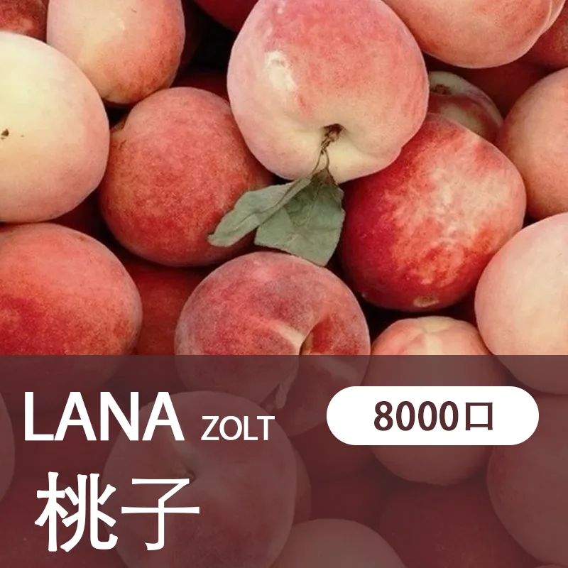 【LANA ZOLT 8000口】一次性電子煙 15ml煙油 拋棄式電子煙