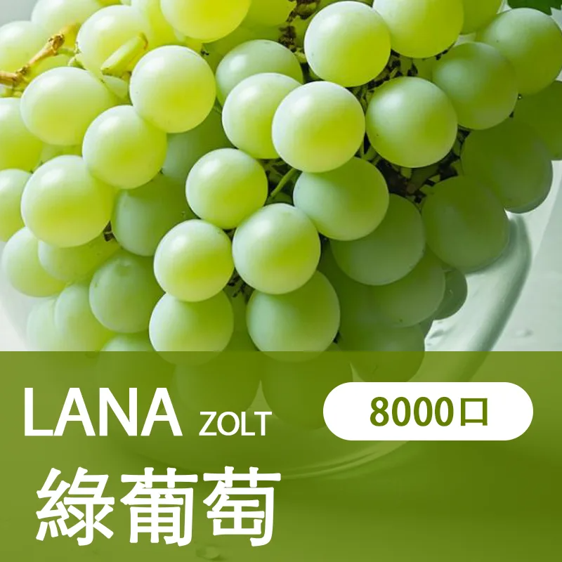 【LANA ZOLT 8000口】一次性電子煙 15ml煙油 拋棄式電子煙