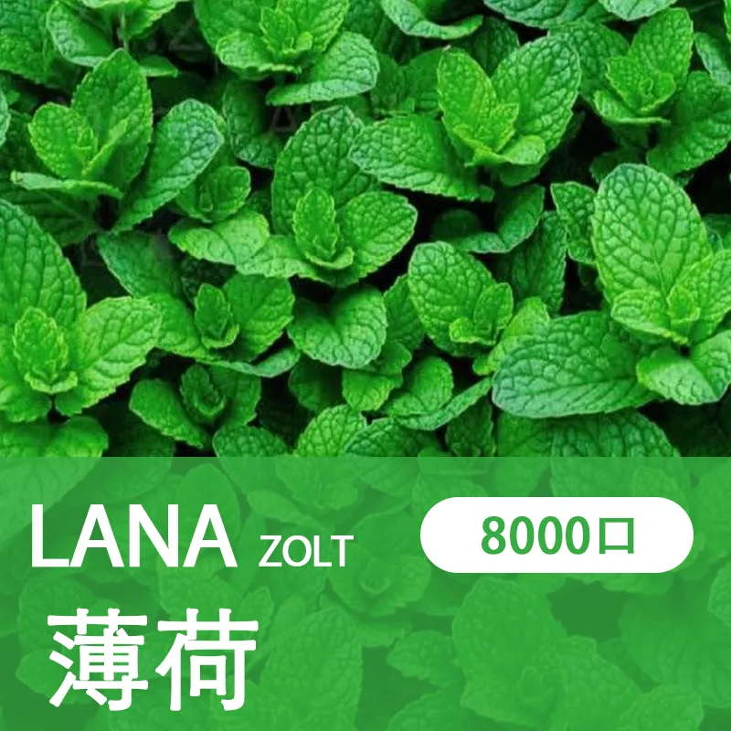 【LANA ZOLT 8000口】一次性電子煙 15ml煙油 拋棄式電子煙